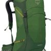 Osprey Stratos 26L green Sacs à dos