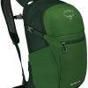 Sacs à dos Osprey Daylite Plusgreen belt/green canopy