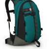 Osprey Heritage Simplex 20dark pine green Sacs à dos