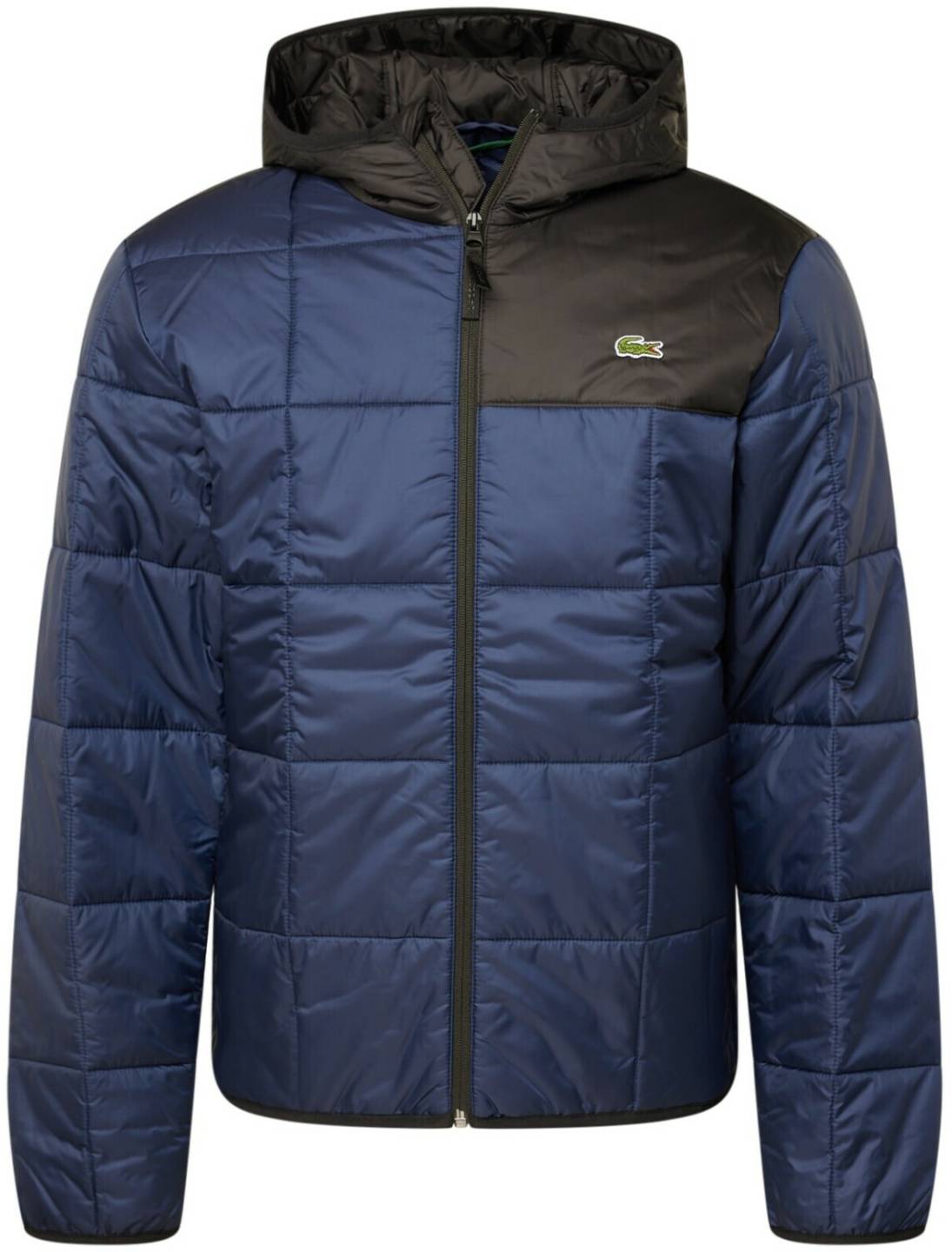 Vestes homme Lacoste WInter Jacket (BH1666)navy