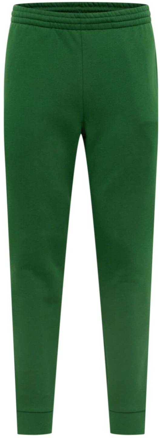 Sportswear Lacoste Tracksuit Pants (Xh9624)green