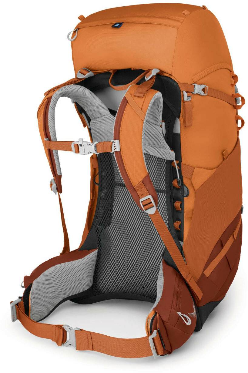 Osprey Ace 50 (2020)orange sunset Sacs à dos