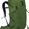 Osprey Talon 33S/M green belt/black Sacs à dos