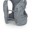 Osprey Dyna 6 with FlasksM slate grey Équipement running