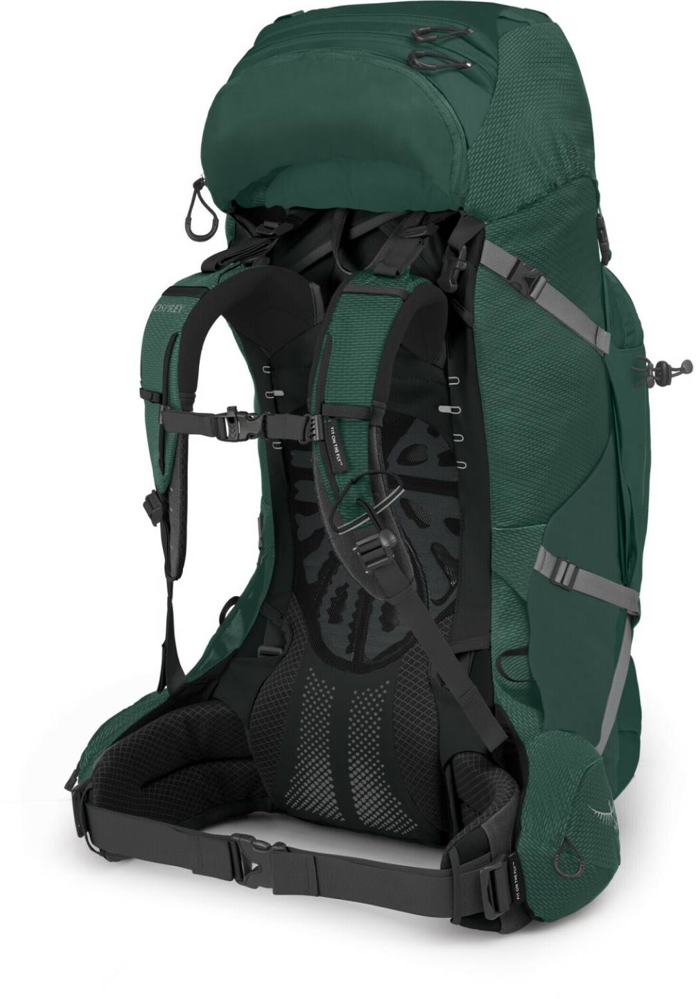 Osprey Aether Plus 70 (1-037)S/M axo green Sacs à dos