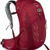 Osprey Talon 22 (1-083)S/M cosmic red Sacs à dos