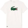 T-shirts homme Lacoste Short Sleeve T-Shirt (TH7513)white (TH7513-2D8-3)